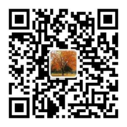 荣誉加持强根基 青蓝相继谱新篇