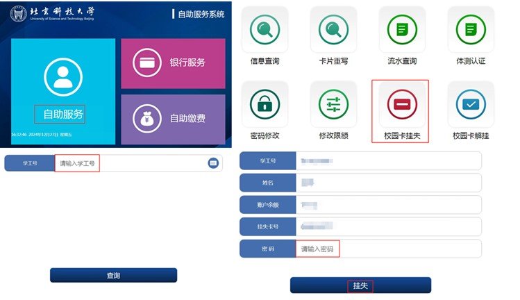 自助服务--校园卡挂失--输入证件号